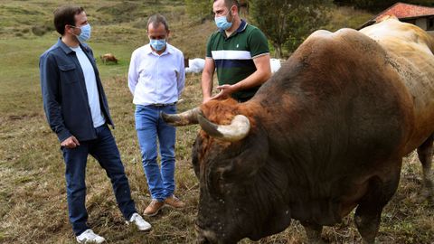 El ministro de Consumo, Alberto Garzón (i), visita la explotación ganadera de Rodrigo Suárez García (d) acompañado del coordinador de IU de Asturias, Ovidio Zapico.