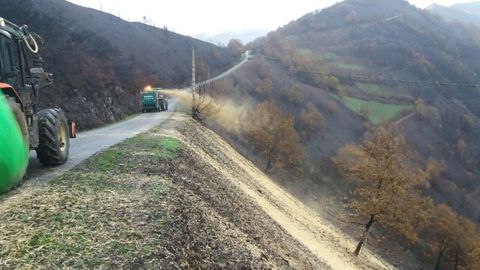 En los montes de O Pando ?en el municipio de Cervantes?, que sufrieron un importante incendio en el 2017, se utilizó la misma técnica que se empleará en Ribas de Sil, Quiroga y A Pobra do Brollón