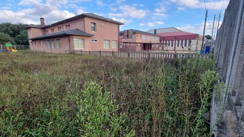 La maleza cubre las instalaciones del antiguo colegio de Baamonde