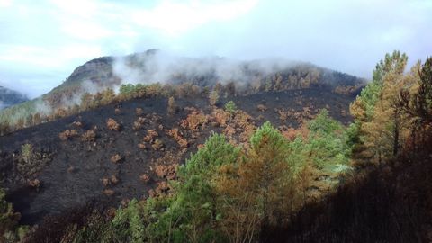 El fuego devastó una ladera de un monte que estaba colonizada por rebollos o cerquiños. La imagen está tomada desde la carretera que lleva a Vilar de Lor, en el municipio de Quiroga