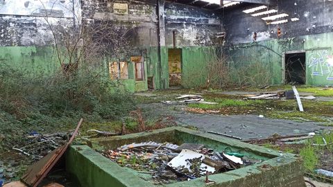 Las instalaciones del matadero permanecen abandonadas desde que hace 14 años fueron pasto de las llamas