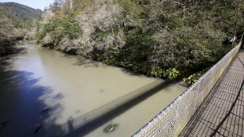Aspecto del río Eume, en octubre de 2020, a raíz de los vertidos de lodos