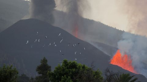 Lava y humo, esta maana en La Palma