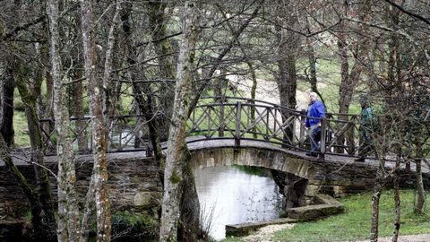 El paseo fluvial del río Carboeiro, en Sigüeiro, acogerá el festival Psicotroita.