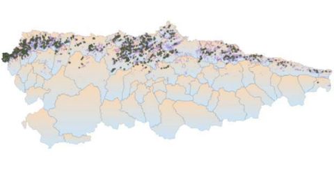 Las manchas negras muestran las zonas de eucaliptales en los que ya se han liberado 1,67 millones de Anaphes nitens para combatir la plaga Gonipterus platensis
