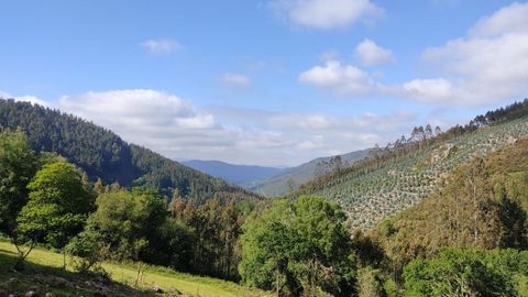 Los montes de los integrantes de la sociedad tienen por lo general poca superficie