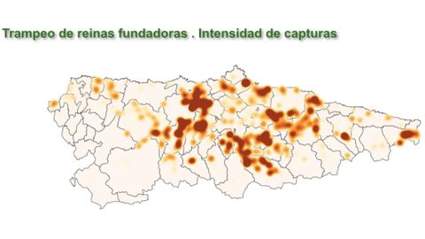 Intensidad de capturas de reinas fundadoras de Vespa velutina en 2021