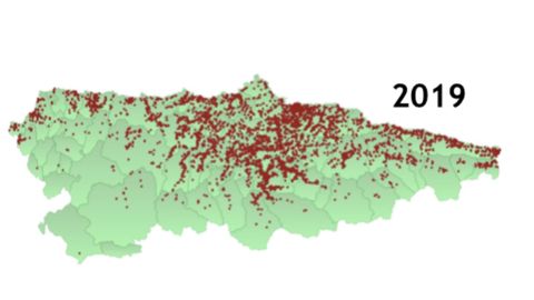 Distribución espacial de nidos de «Vespa velutina» en 2019
