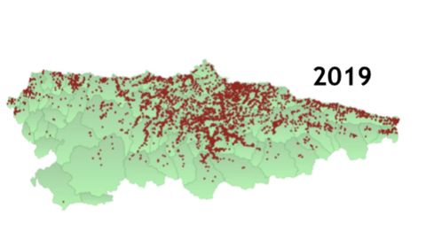 Distribucin espacial de nidos de Vespa velutina en 2019