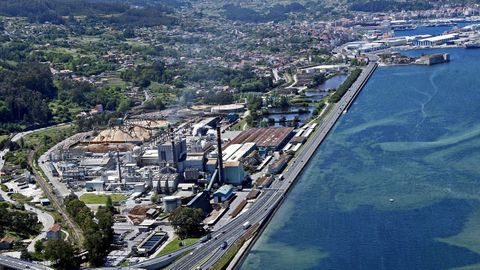 Terrenos de Ence en la ría de Pontevedra. Al fondo, el Puerto de Marín