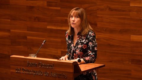 La consejera de Hacienda Ana Cárcaba, en el pleno de la Junta General del Principado