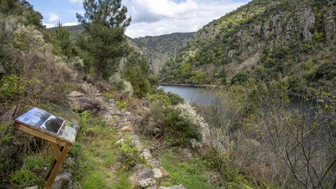 Un panel explicativo en la ruta de senderismo de A Empardeada, en la ribera soberina del cañón del Sil