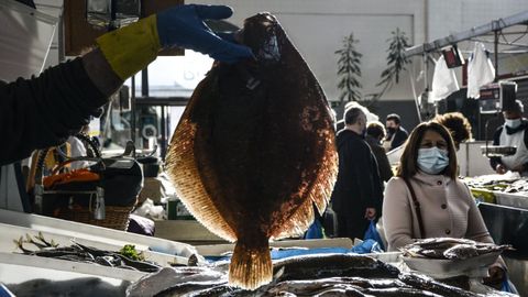 Espléndido rodaballo que muestran en una pescadería tradicional (foto de archivo)