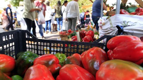 Las verduras mariñanas (en la foto, un mercado) son muy apreciadas por consumidores locales y por visitantes.