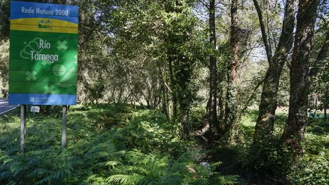 Entorno del río Támega, incluído en la Rede Natura 2000.
