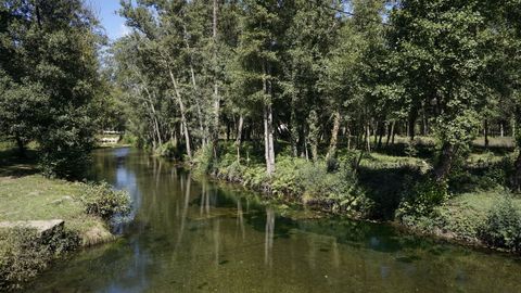 Entorno del río Támega, incluído en la Rede Natura 2000.
