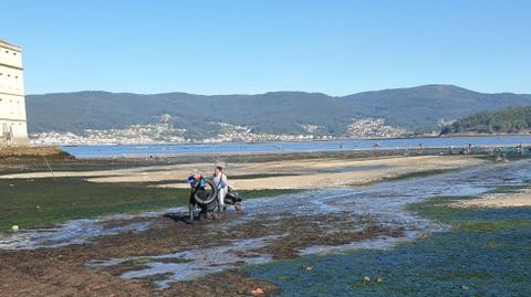 Redistribución de la arena extraída del lombo en las zonas enlodadas del banco en el verano del 2021
