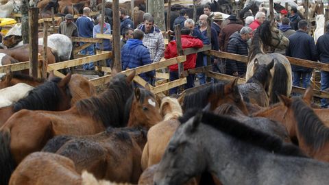Feria de As Sam Lucas, en el día grande de las fiestas de 2019.