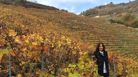 La escritora Dolores Redondo en uno de los paisajes vitícolas de la Ribeira Sacra en los que se inspira su novela