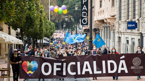Manifestación por la oficialidad del asturiano