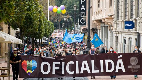 Manifestacin por la oficialidad del asturiano