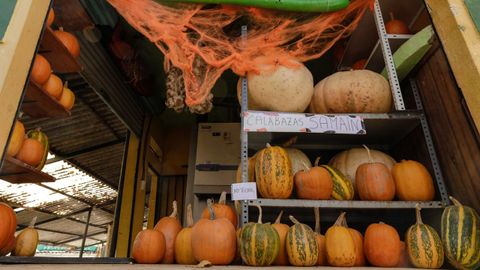 Las calabazas se convierten estos días en uno de los productos más buscados en los mercados.