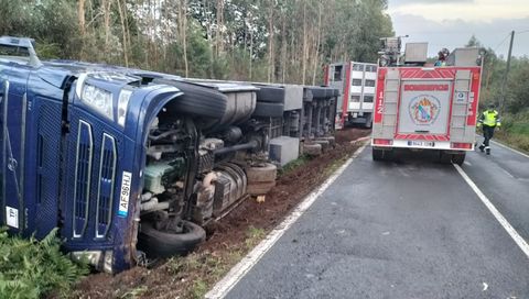 El camión cargado de cerdos volcó en la cuneta de la carretera, en Carral