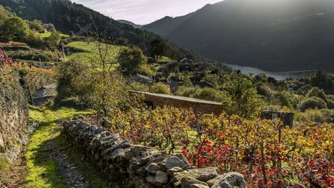 Ruta de la Ribeira Sacra del Miño, a su paso por Pantón.