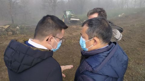 El conselleiro de Medio Rural inspeccionando, junto a varios técnicos, los desbroces en Cualedro