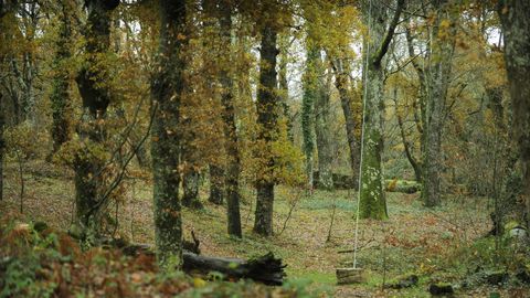 Fraga de Catasós, in Lalín.