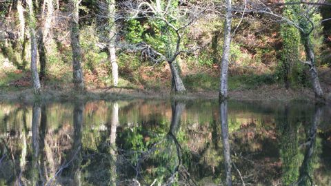 Fragas do Eume in autumn.