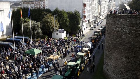 TRactorada celebrada en Lugo a principios de mes para pedir «prezos xustos»