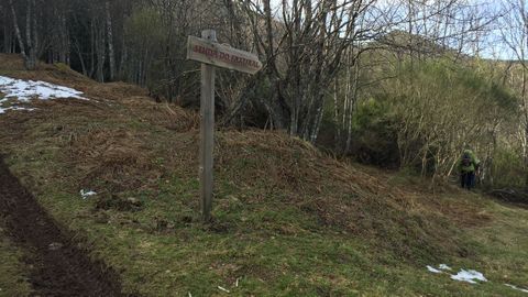 Hayedo de Busmayor. La ruta está bien señalizada y en invierno, en la cima, suele haber nieve