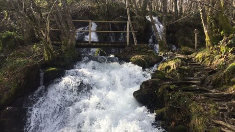 Hayedo de Busmayor. La fervenza do Beiro es la más famosa de la ruta