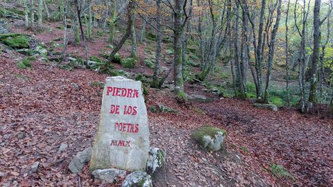 Hayedo de Busmayor. Uno de los lugares mágicos es la zona de la Piedra de los Poetas