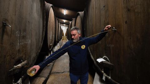 Sidra de un tonel en Nava