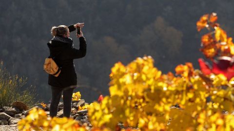 Una turista hace fotos este otoño junto al mirador de Soutochao, en el tramo del cañón del Sil que pertenece a Sober