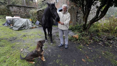 Un familiar de Simone junto a Perla y Ziggy, dos de los animales que tenía la mujer en Baroso