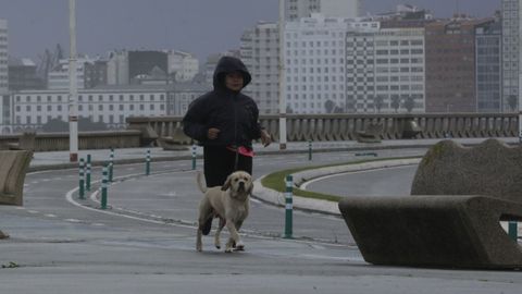 Una mujer pasea con su perro por el paseo marítimo en la mañana de este miércoles