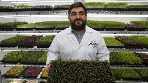 El emprendedor Daniel Barbeito creó en Portonovo un huerto interior y vertical en el que cultiva hasta 16 variedades de brotes vegetales