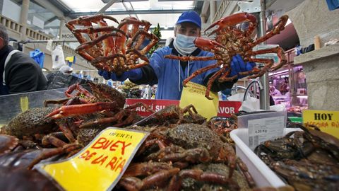 El mercado de Pontevedra, que hace unos días ya lucía las mejores piezas de marisco