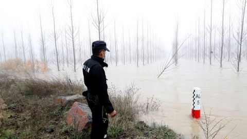 Un soldado de la UME vigila la crecida del Ebro en Alcal, en Aragn. efe