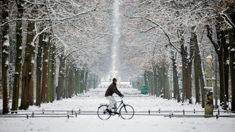 El crimen se produjo a plena luz del día en el centrico parque berlinés de Tiergarten.