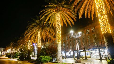 Las luces de las palmeras de la Alameda han sido muy populares entre los noieses. 