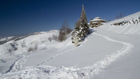 Neve na serra dos Ancares, na zona de San Román de Cervantes.