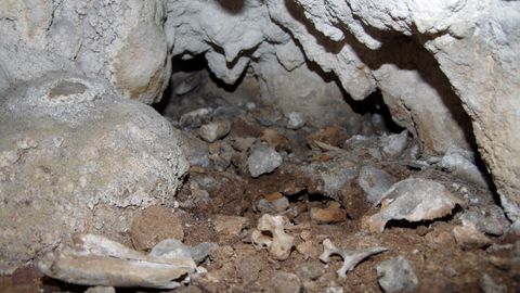 Restos humanos procedentes de las cuevas del Espinoso, en La Franca (Asturias)