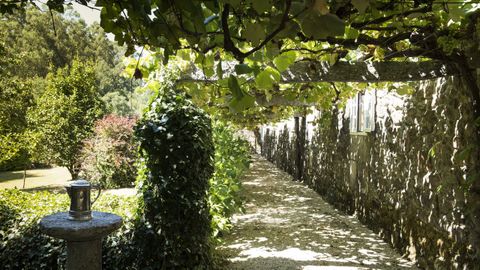 La finca cuenta con un viñedo