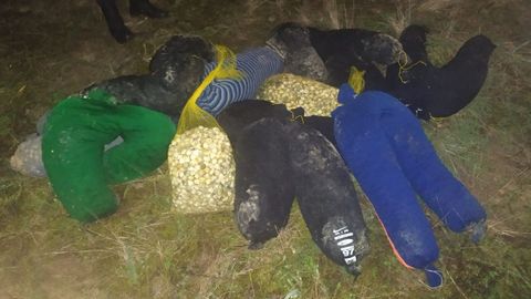 Los agentes incautaron más de 500 kilos en un operativo del mes de octubre