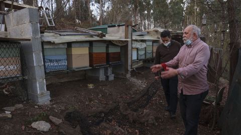 Luis Iglesias, junto a otro vecino, muestra las colmenas que tiene en una de sus fincas