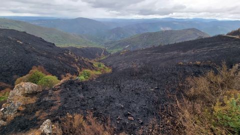Imagen de archivo de un monte en Ribas de Sil tras un incendio forestal el pasado 2021